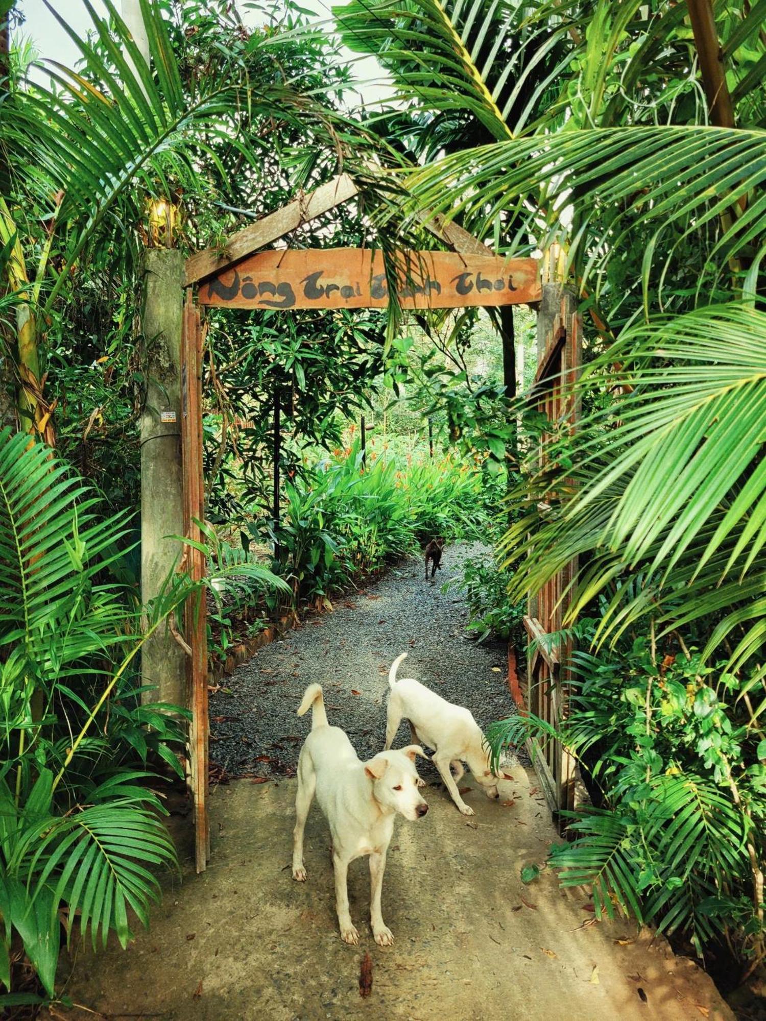 Nong Trai Thanh Thoi Ben Tre Bagian luar foto